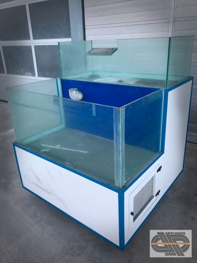 Vivier de poissonerie a deux bassins en cascade BISPIRA COUTANT d'occasion double bassins pour présentation de crustaces vivants 