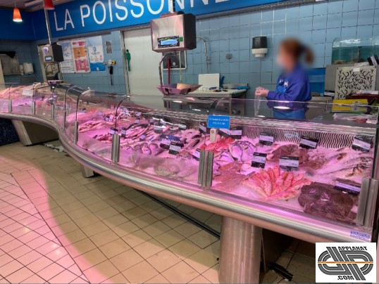 Grand Etal poisson de supermarché Tournus