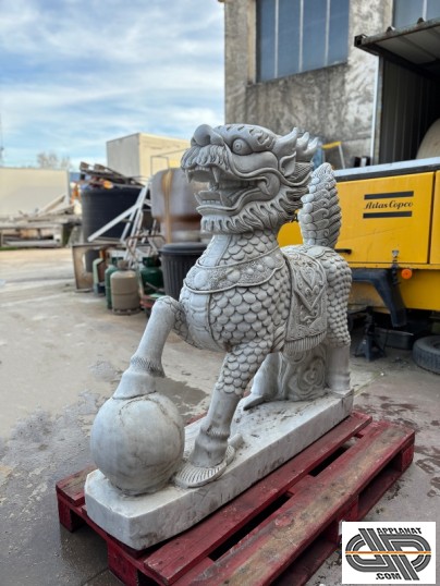 Dragon de face